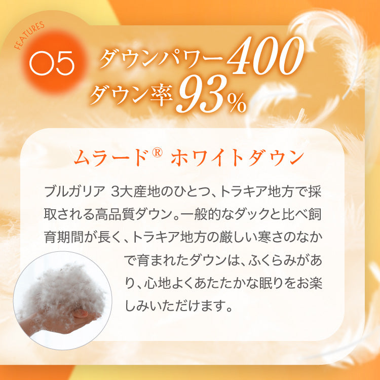 羽毛肌掛けふとん/ホワイトダックダウン93%