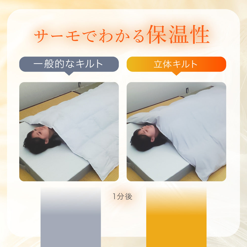 【お得な2枚セット】羽毛肌掛けふとん/マザーグースダウン93%