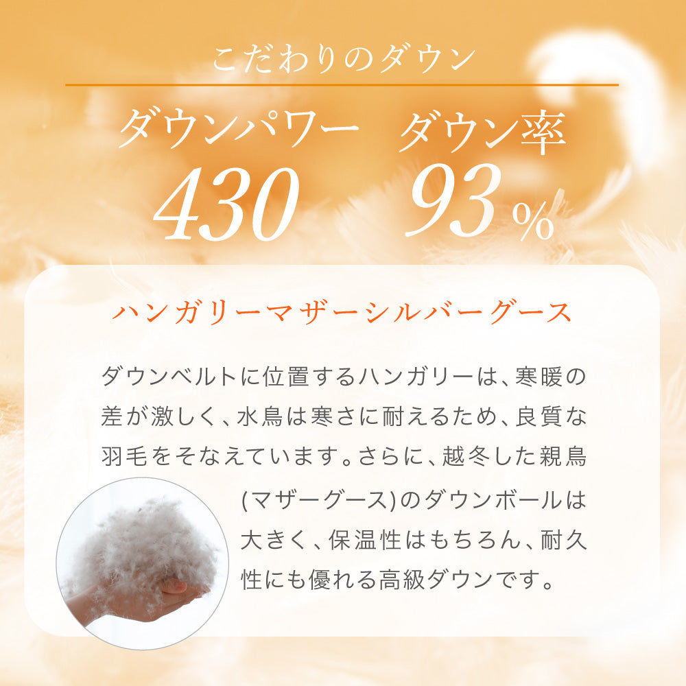 【お得な2枚セット】羽毛肌掛けふとん/マザーグースダウン93%