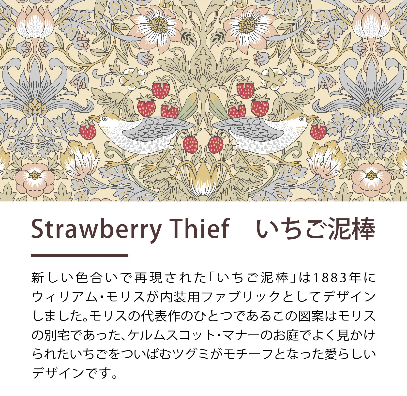 タオルケット・ハーフケット