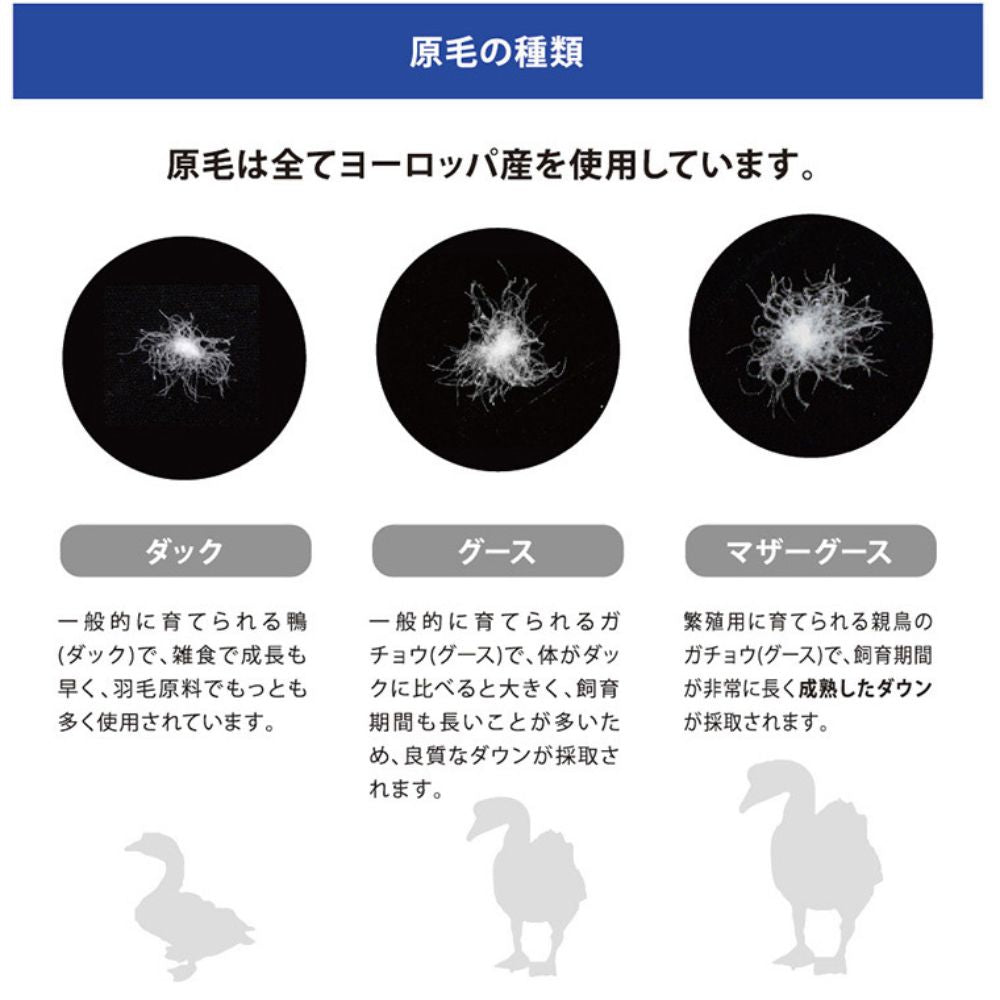 【追加オプション】羽毛ふとんのリフォーム/足し羽毛