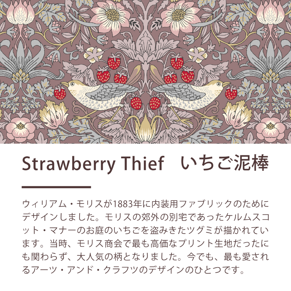 綿毛布(毛羽部分)/コーマ糸