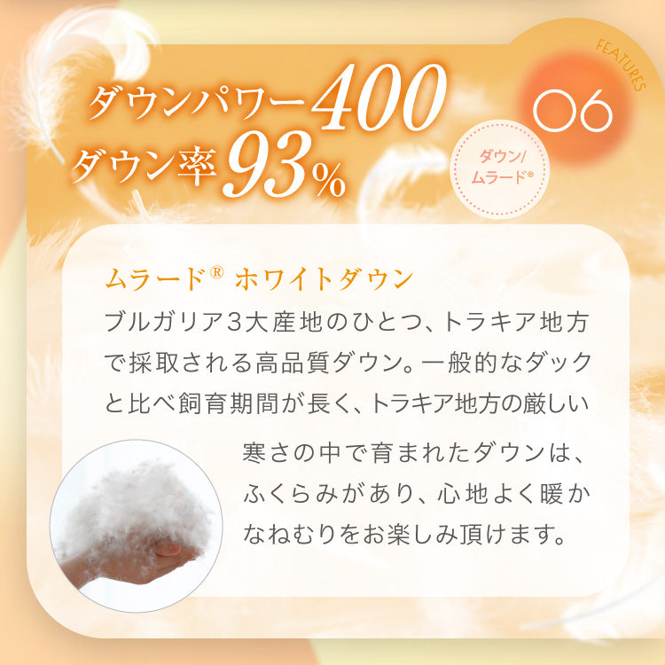 【お得な2枚セット】洗える羽毛掛けふとん/ホワイトダウン93%