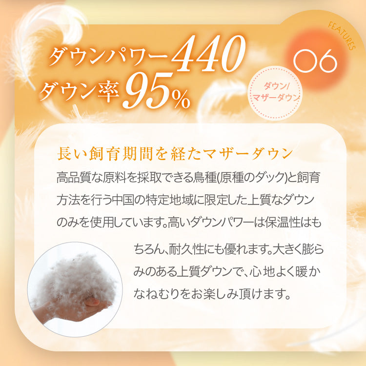 【お得な2枚セット】洗える羽毛掛けふとん/マザーダックダウン95%(熟成ダウン)