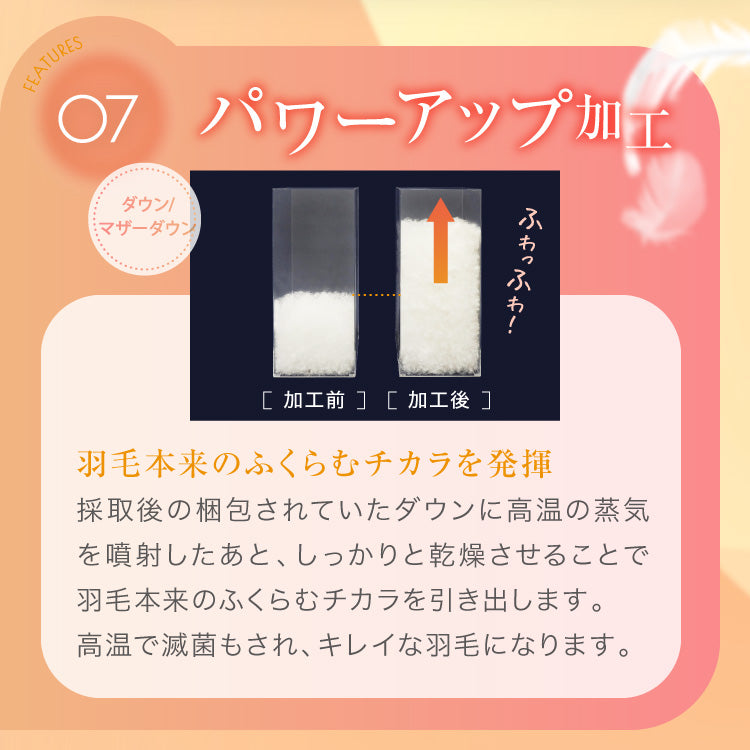 洗える羽毛掛けふとん/マザーダックダウン95%(熟成ダウン)