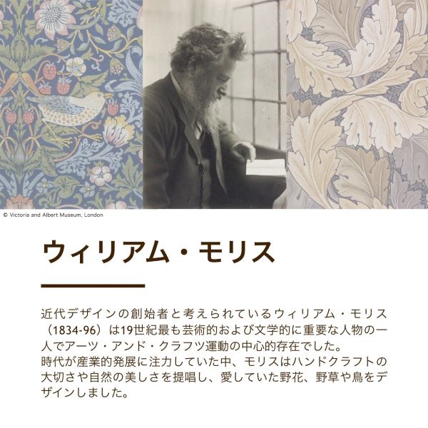 真綿入羽毛掛けふとん/ダウン90%