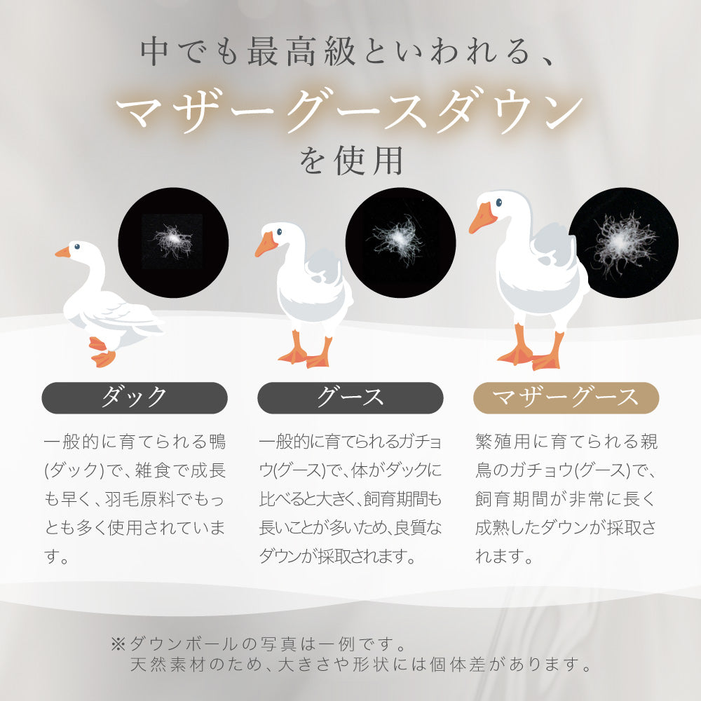 洗える羽毛掛けふとん/マザーグースダウン95%