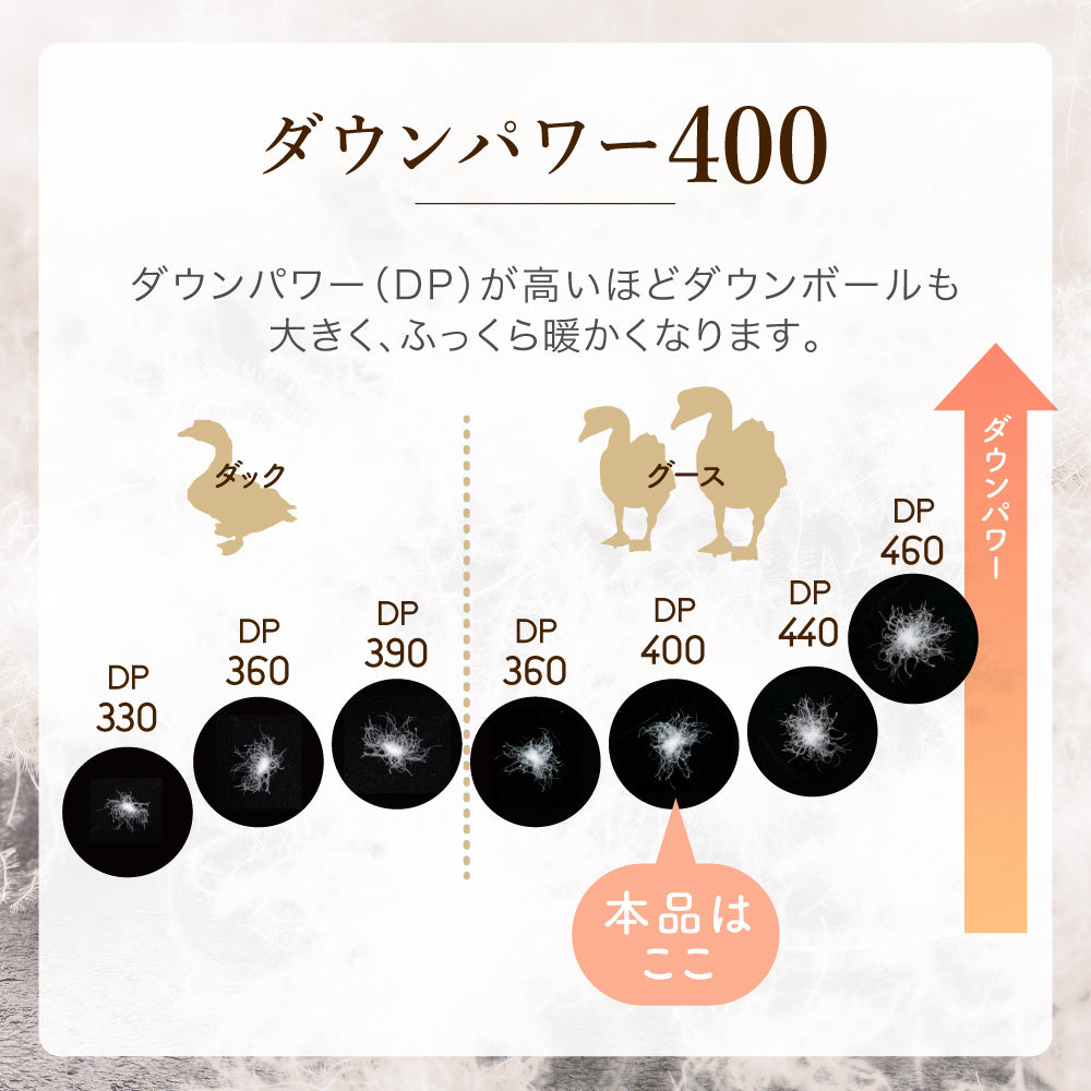 羽毛肌掛けふとん/ダックダウン93%