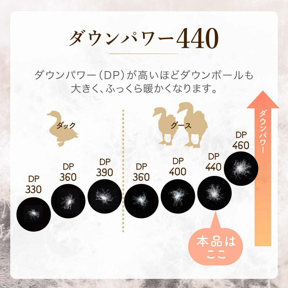 2枚合わせ羽毛掛けふとん/マザーグースダウン95%