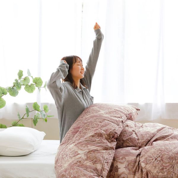 ロマンス小杉 羽毛布団 二層式 シングル ロマンス小杉 羽毛布団 シングル ダブル セミダブル クイーン キング