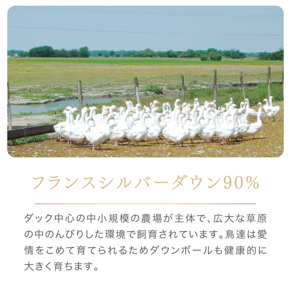 真綿入羽毛掛けふとん/ダウン90%/クロスオーバータイプ