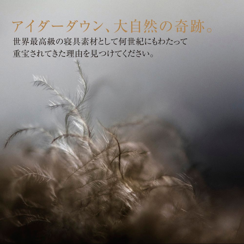 羽毛肌掛け・掛けふとん/アイダーダウン98%