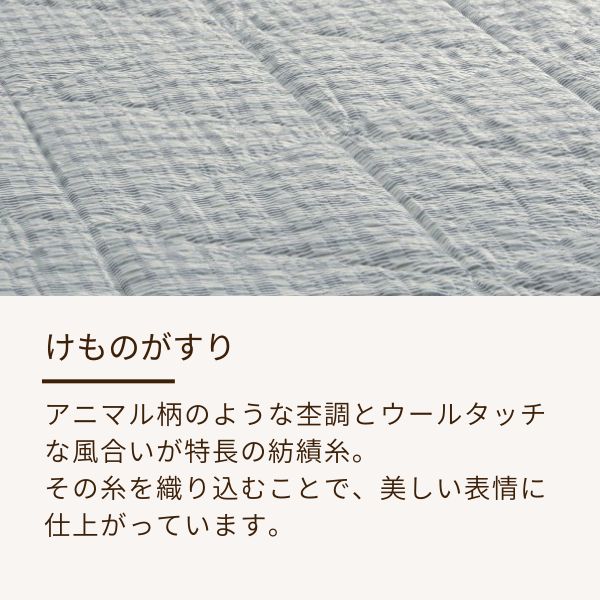 【5周年記念目玉】綿肌掛けふとん/高島ちぢみ/けものがすり
