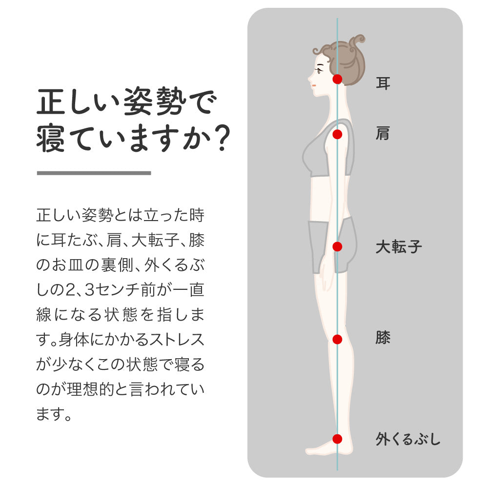 ロマンスエコーSE/3つ折りマットレス/ベッドタイプ/日本カイロプラクターズ協会推奨商品