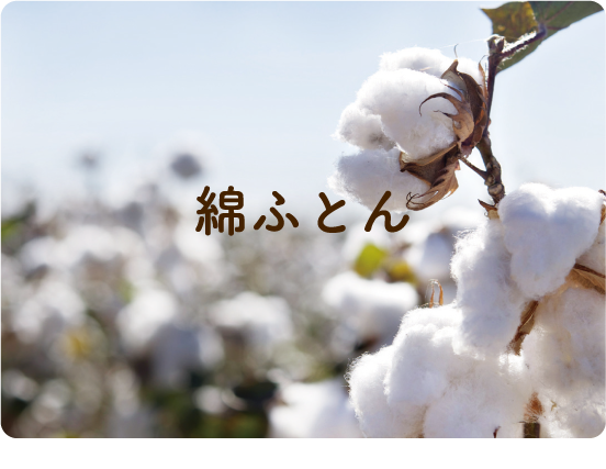 綿ふとん