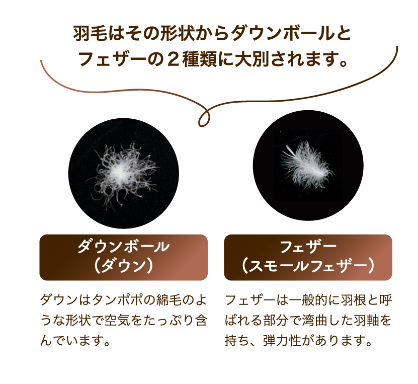ダウンボール(ダウン) フェザー(スモールフェザー)