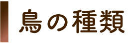 鳥の種類