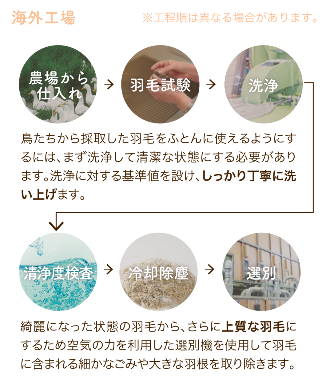 海外工場　鳥たちから採取した羽毛をふとんに使えるようにするには、まず洗浄して清潔な状態にする必要があります。洗浄に対する基準値を設け、しっかり丁寧に洗い上げます。　綺麗になった状態の羽毛から、さらに上質な羽毛にするため空気の力を利用した選別機を使用して羽毛に含まれる細かなごみや大きな羽根を取り除きます。