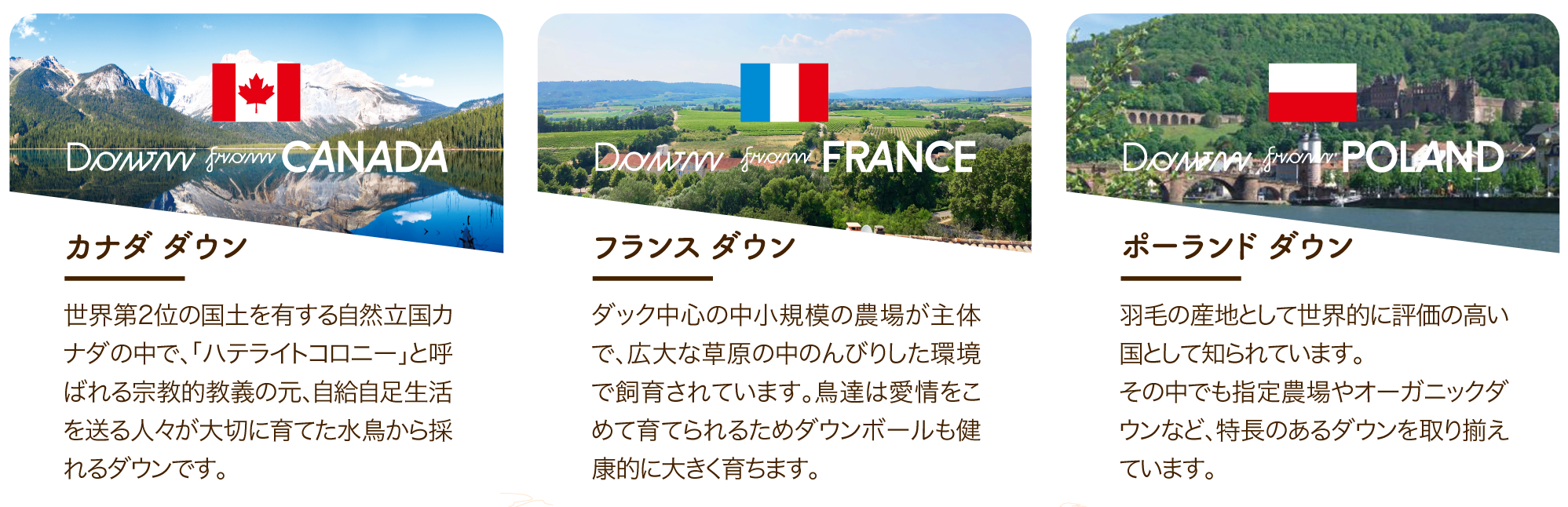 カナダダウン イングランドダウン フランスダウン