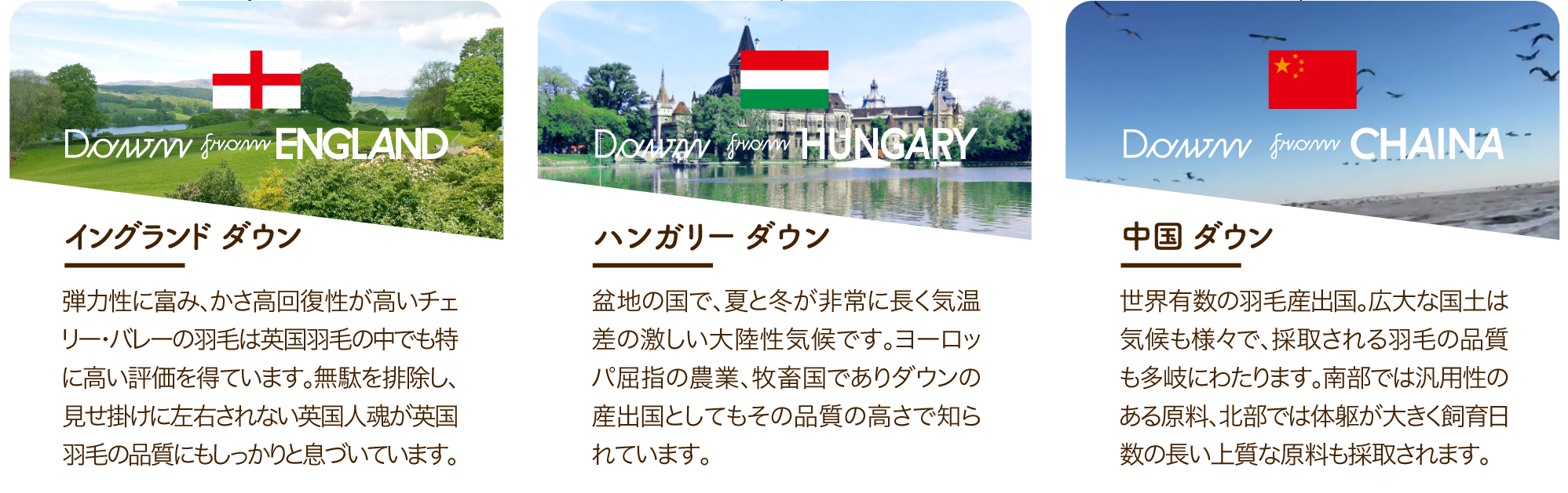 ハンガリーダウン ポーランドダウン 中国ダウン