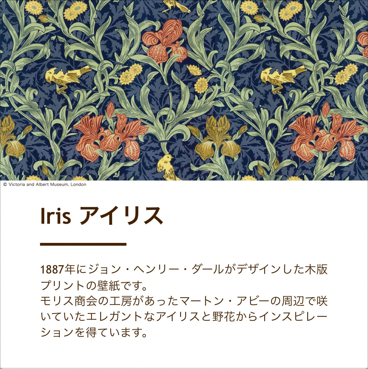 こたつカバー/綿100%/V&Aアイリス/防縮加工