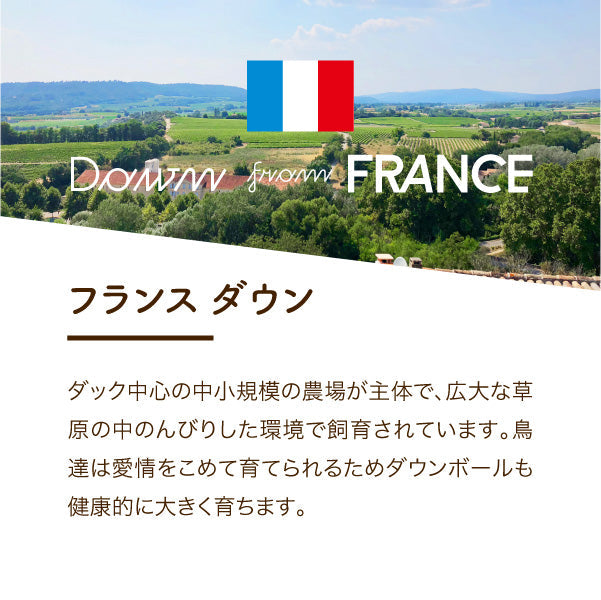 【5周年記念目玉】羽毛掛けふとん/ダウン90%(ダブルロングのみ)