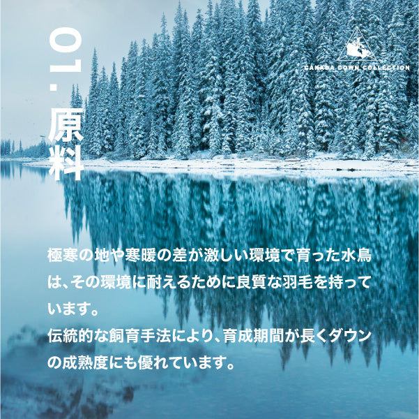【5周年記念目玉】羽毛肌掛けふとん/グースダウン93%