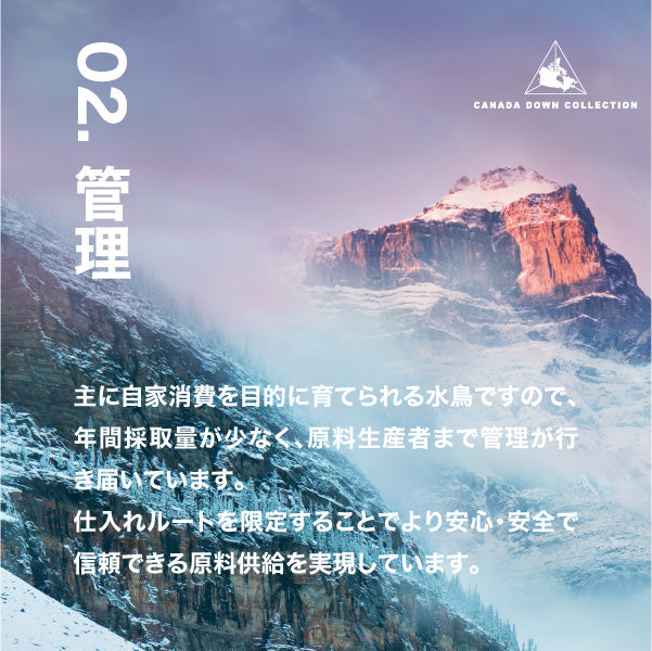 【5周年記念目玉】羽毛肌掛けふとん/グースダウン93%