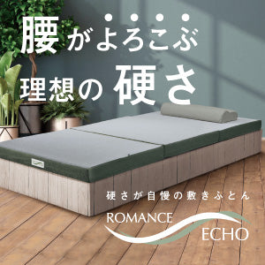 ロマンスエコー