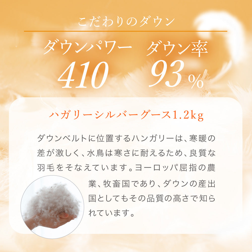 羽毛掛けふとん/シルバーグースダウン93％