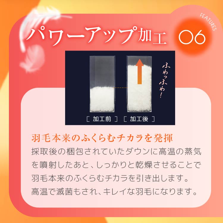 羽毛肌掛けふとん/ホワイトダックダウン93%