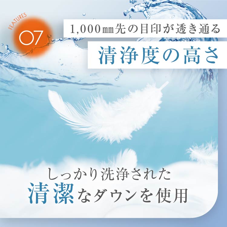 羽毛肌掛けふとん/ホワイトダックダウン93%