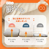 羽毛肌掛けふとん/ホワイトダックダウン93%