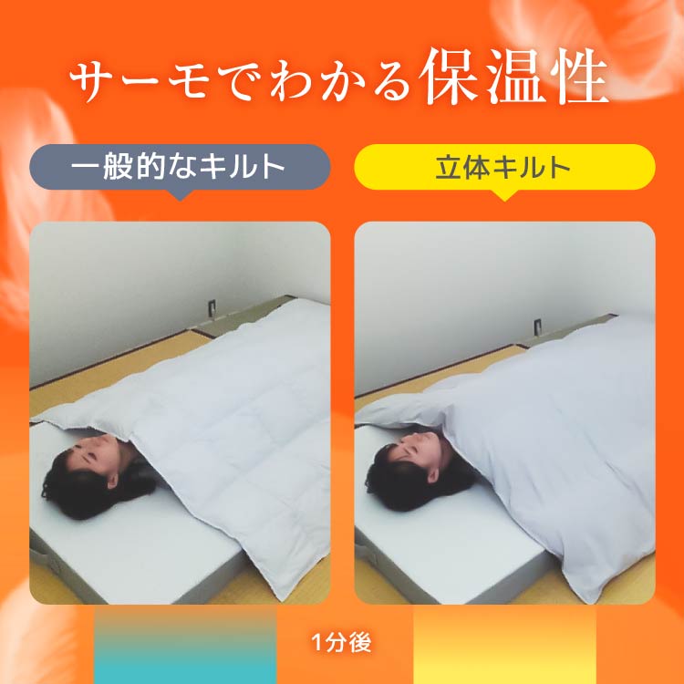 羽毛肌掛けふとん/ホワイトダックダウン93%