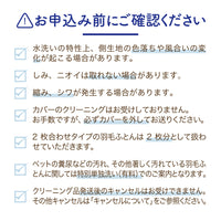 ふとん丸洗い【ロマンスナイトコース】