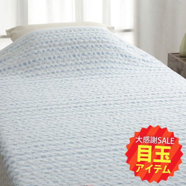 【春の大感謝祭 特別目玉】タオルケット・ハーフケット/今治タオルブランド