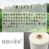 綿敷きパッド/表生地 葦・マニラアサ入り