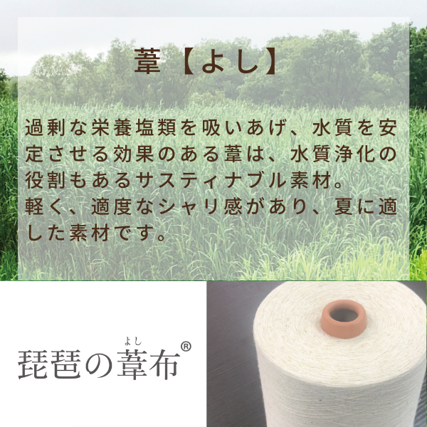 綿肌掛けふとん/葦・マニラアサ/綿わた