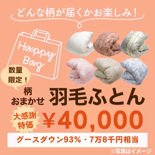 【大感謝特価】羽毛掛けふとん/グースダウン93％/78,000円相当