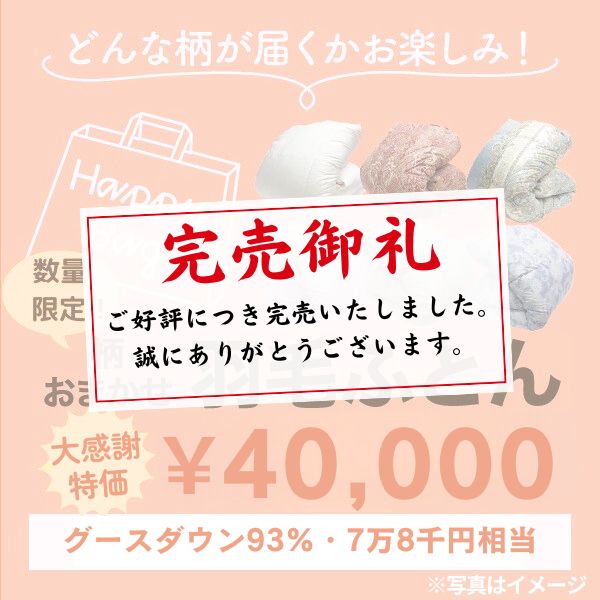 【大感謝特価】羽毛掛けふとん/グースダウン93％/78,000円相当