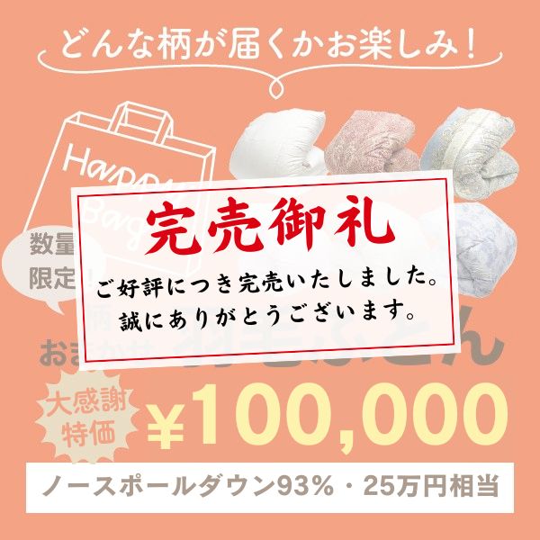 【大感謝特価】羽毛掛けふとん/ノースポールダウン93％/250,000円相当/限定1点