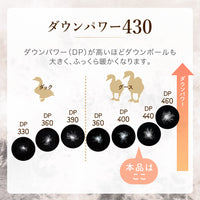 【お得な2枚セット】二層式羽毛掛けふとん/マザーグースダウン93%