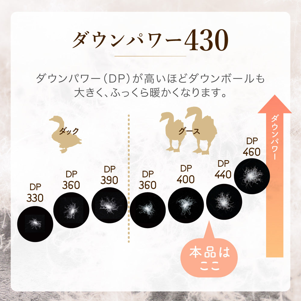 二層式羽毛掛けふとん/マザーグースダウン93％