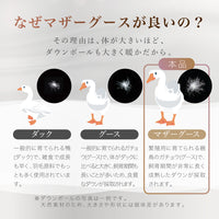 【お得な2枚セット】二層式羽毛掛けふとん/マザーグースダウン93%