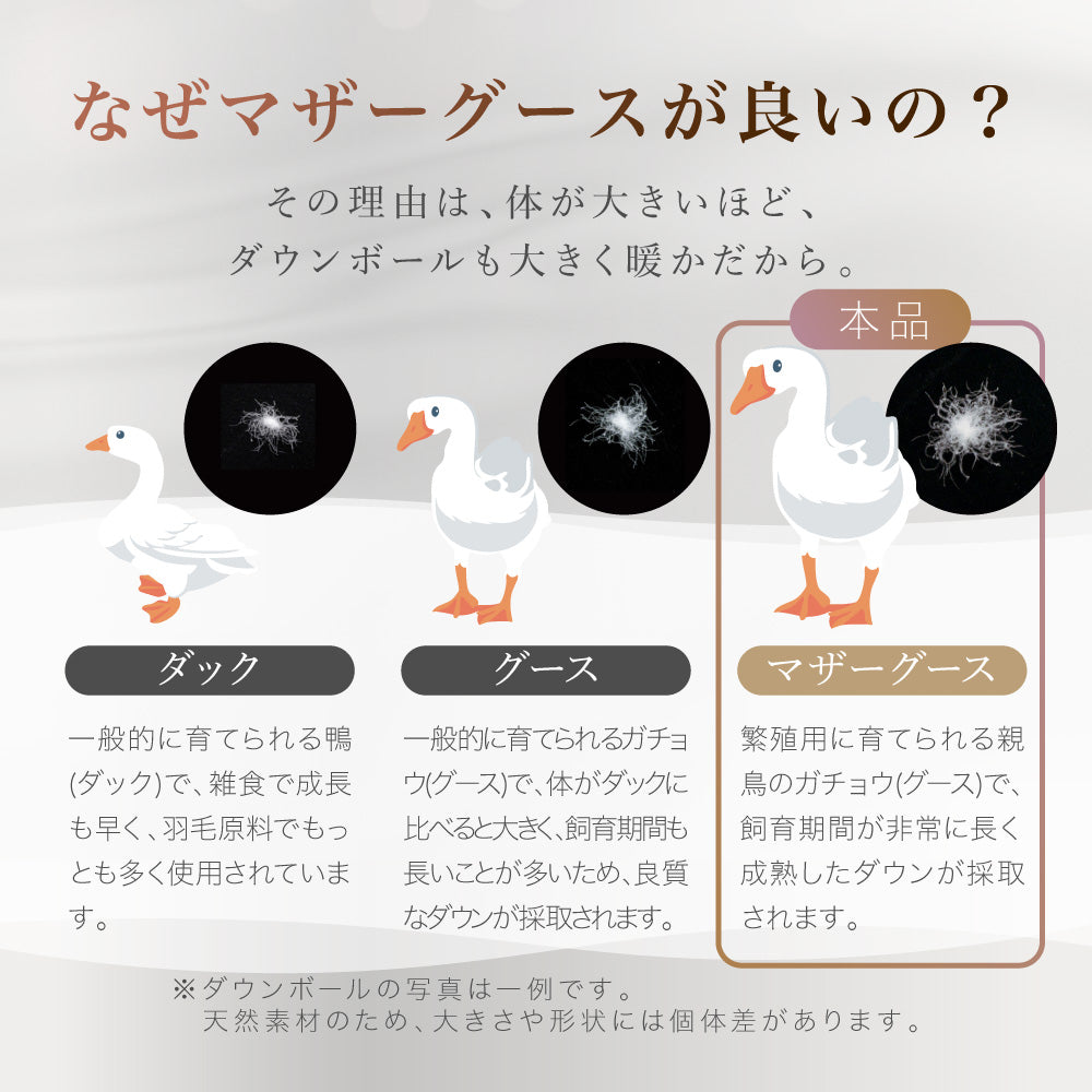 二層式羽毛掛けふとん/マザーグースダウン93％