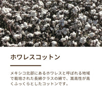綿毛布（毛羽部分）