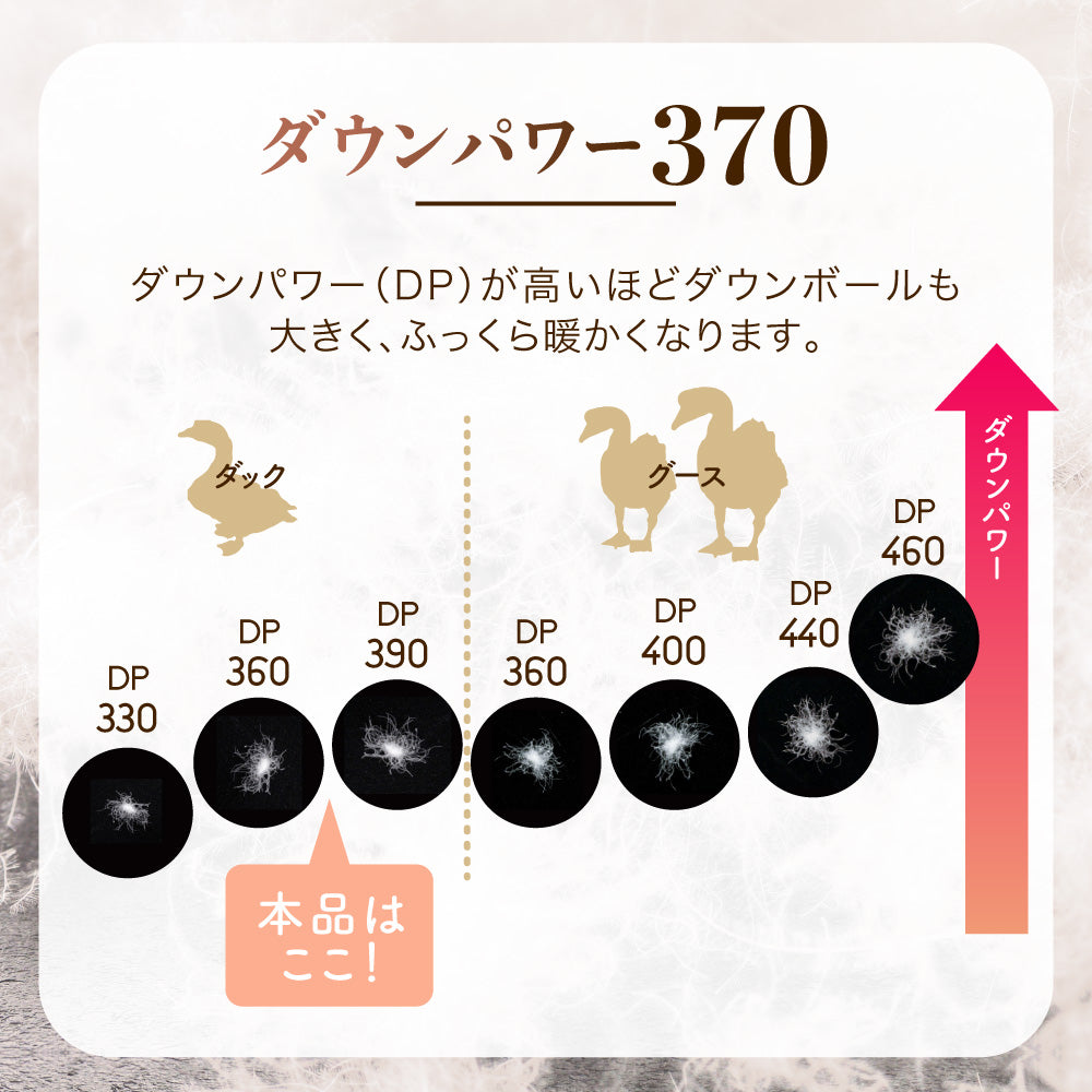 羽毛掛けふとん/ダウン90%