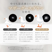 【お得な2枚セット】洗える羽毛掛けふとん/マザーグースダウン95％