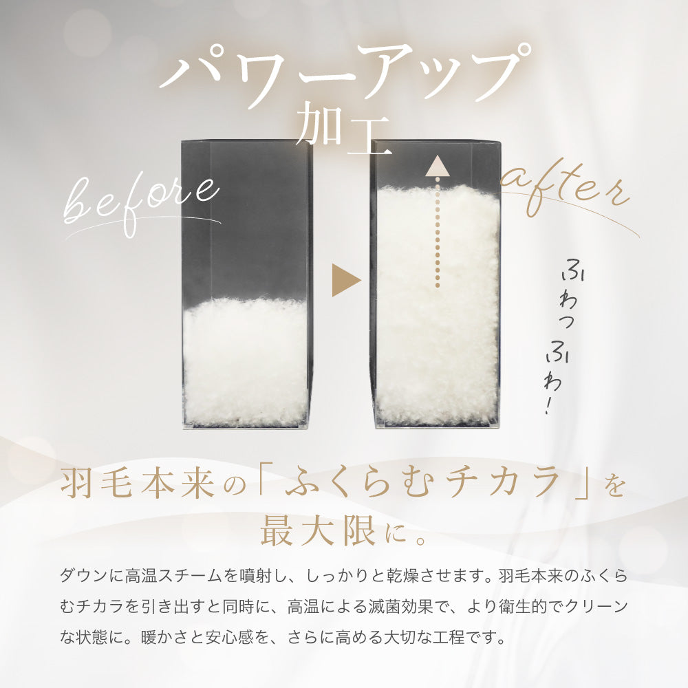 洗える羽毛掛けふとん/シルバーダウン90％/1.1kg/スタンダードタイプ