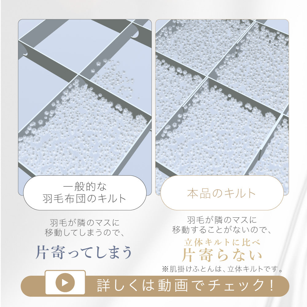 【お得な2枚セット】洗える2枚合わせ羽毛掛けふとん/シルバーダウン90％